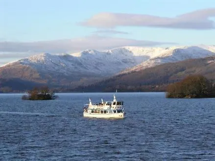Apartment Foxgloves *