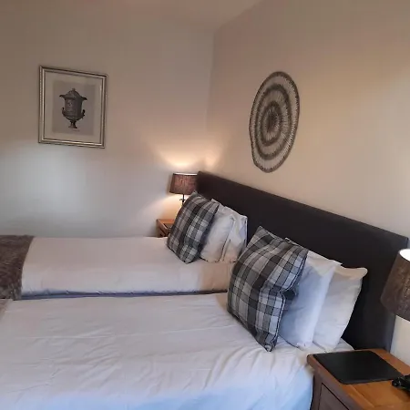 Foxgloves * Windermere