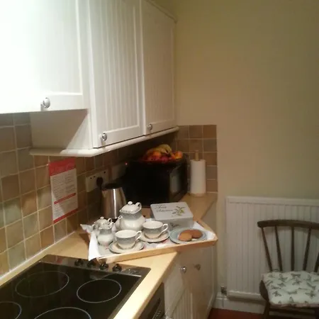 Foxgloves Windermere